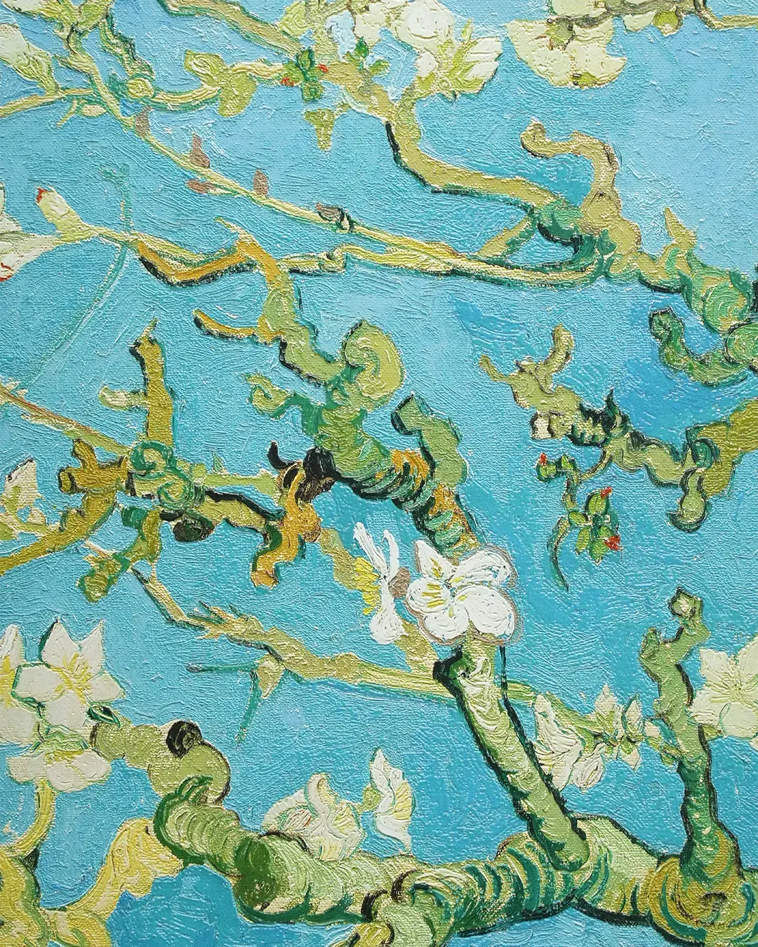 Almond Blossoms by Vincent Van Gogh Van Glo