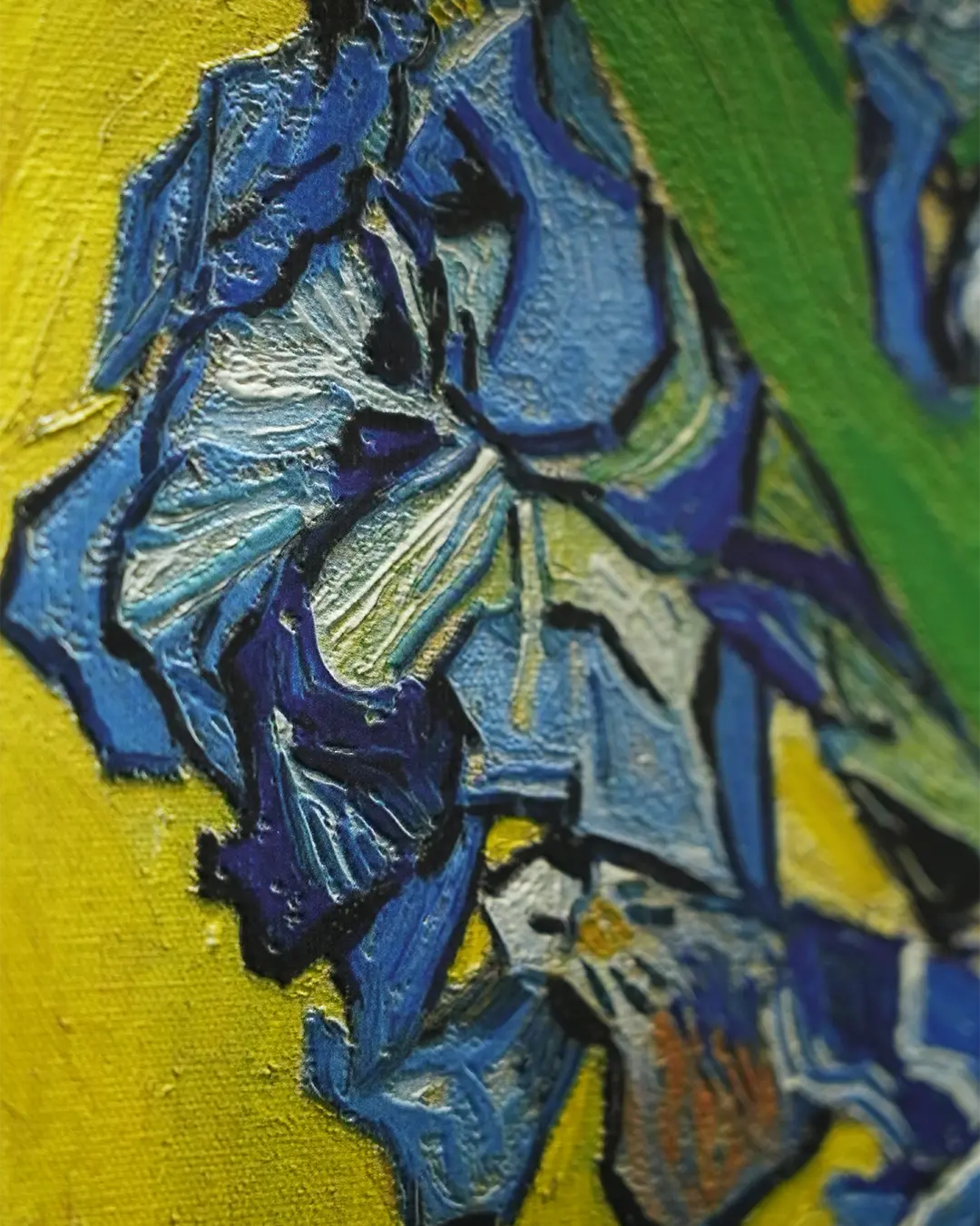 Irises by Vincent Van Gogh Van Glo