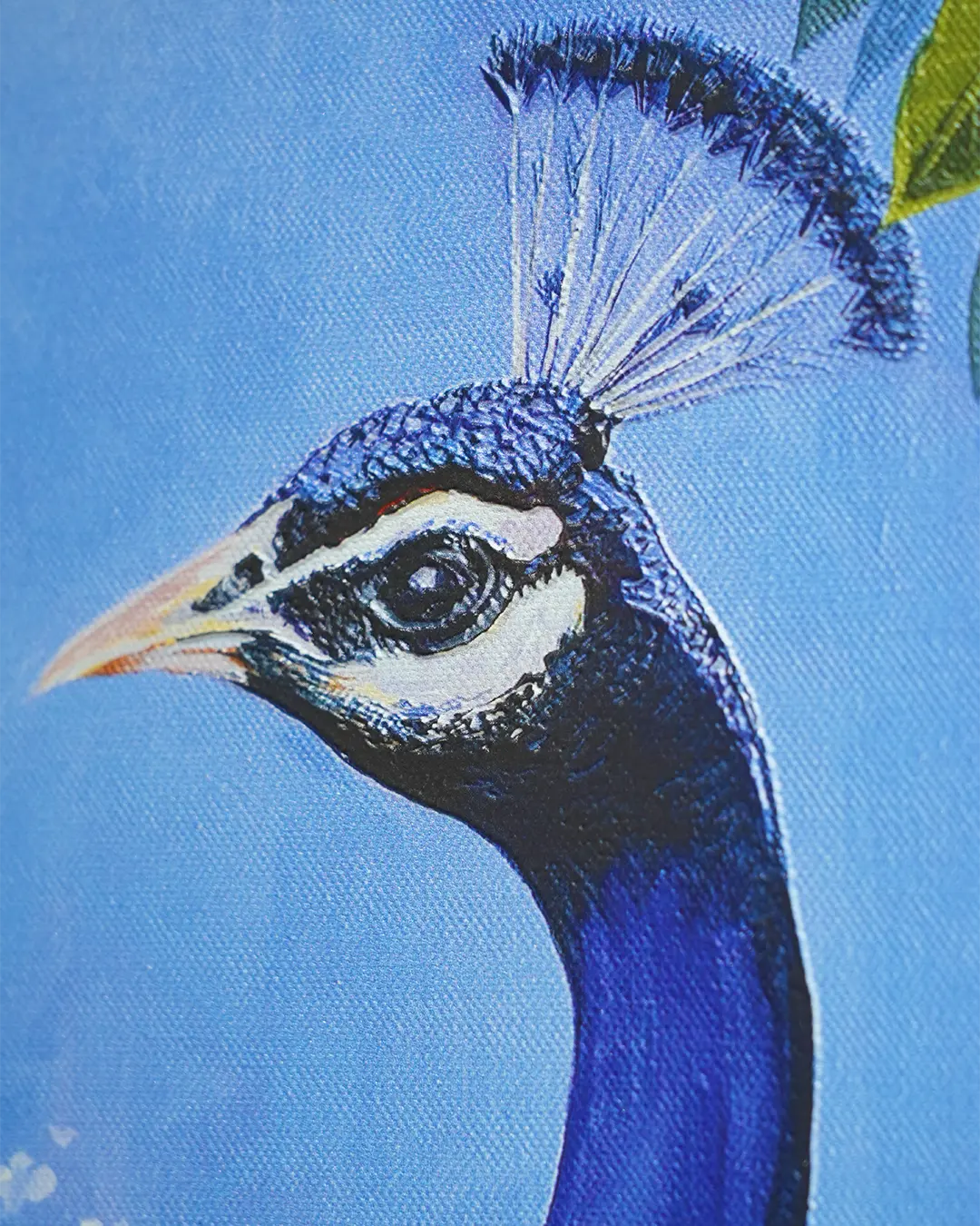 Framed artwork of a woman with a peacock on a white wall with dimensions displayed.